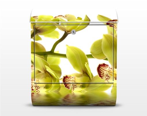 Briefkasten mit Zeitungsfach - Splendid Orchid Waters - Briefkasten Blumen