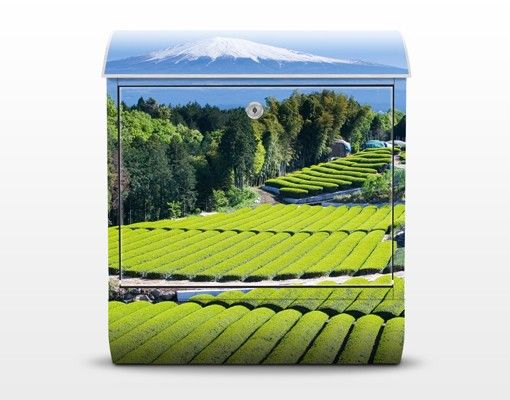 Briefkasten mit Zeitungsfach - Teefelder vor dem Fuji - Hausbriefkasten