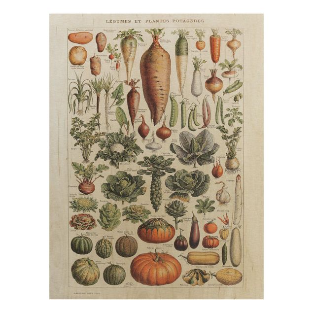 Holzbild - Vintage Lehrtafel Gemüse - Hochformat 4:3