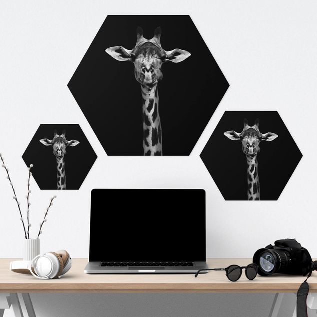 Hexagon Bild Forex - Dunkles Giraffen Portrait