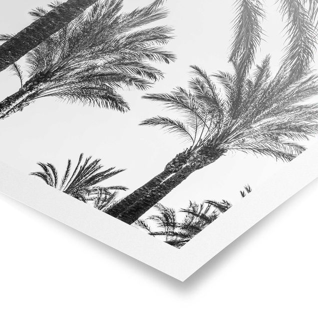 Poster - Palmen im Sonnenuntergang Schwarz-Weiß - Hochformat 4:3