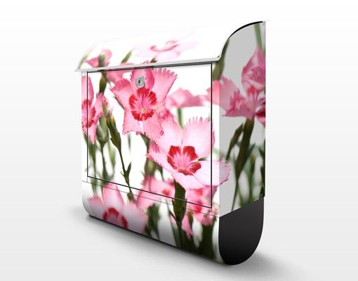 Briefkasten mit Zeitungsfach - Pink Flowers - Blumen Rosa, Pink