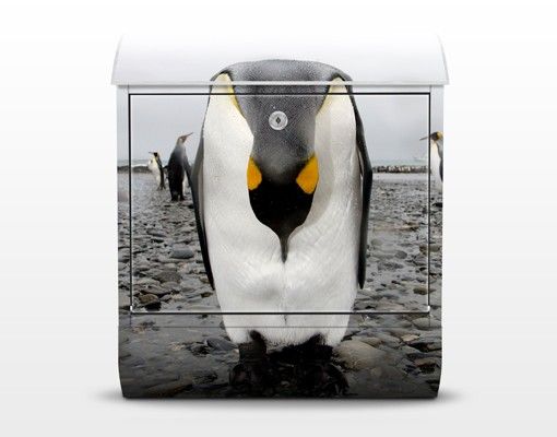 Briefkasten mit Zeitungsfach - Pinguin - Briefkasten mit Tiermotiv