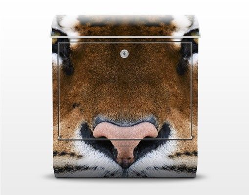 Briefkasten mit Zeitungsfach - Tiger Eyes - Briefkasten mit Tiermotiv