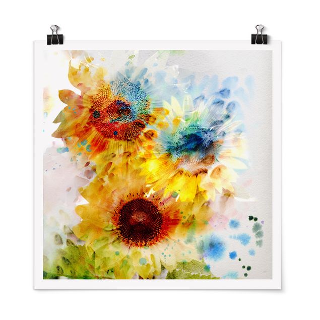 Poster - Aquarell Blumen Sonnenblumen - Quadrat 1:1