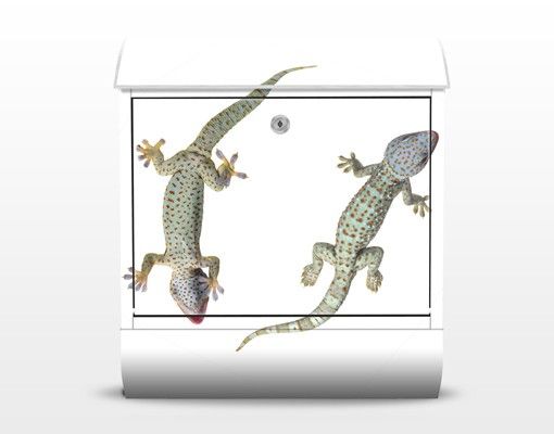 Briefkasten mit Zeitungsfach - Neugierige Geckos - Briefkasten mit Tiermotiv