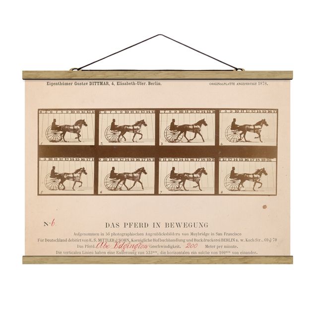 Stoffbild mit Posterleisten - Eadweard Muybridge - Das Pferd in Bewegung - Querformat 3:2