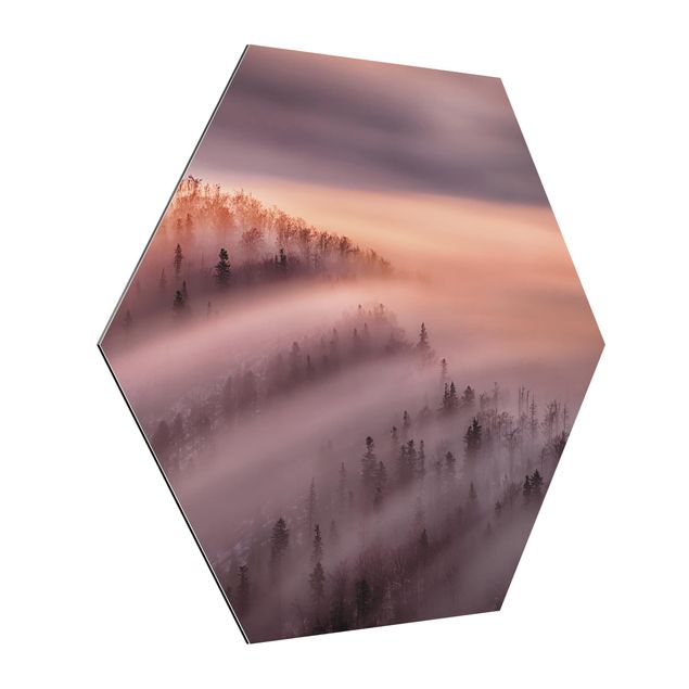 Hexagon Bild Alu-Dibond - Nebelflut