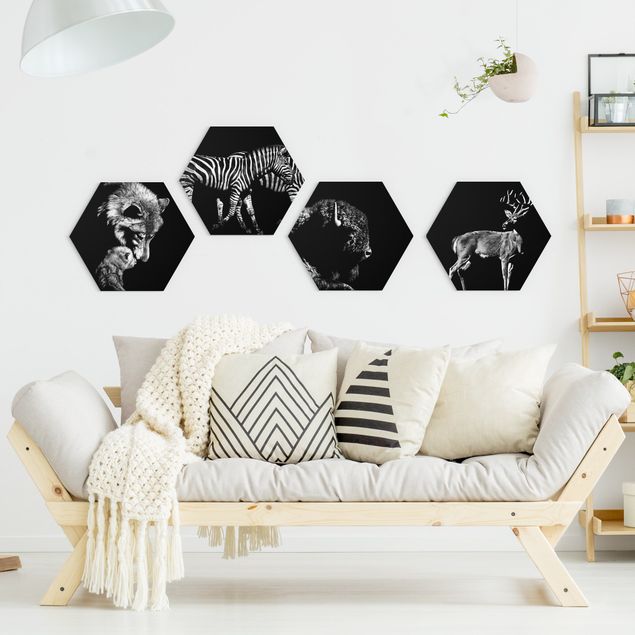Hexagon Bild Alu-Dibond 4-teilig - Wildtiere vor Schwarz Set II