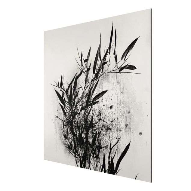 Aluminium Print - Grafische Pflanzenwelt - Schwarzer Bambus - Quadrat 1:1