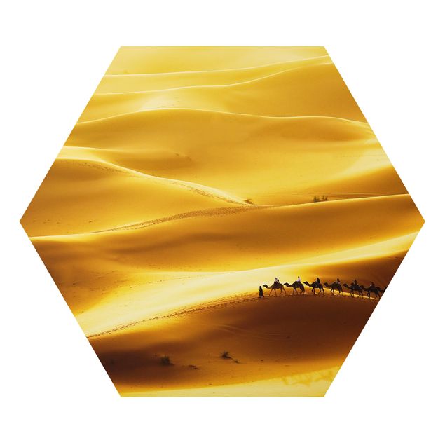 Hexagon Bild Alu-Dibond - Golden Dunes