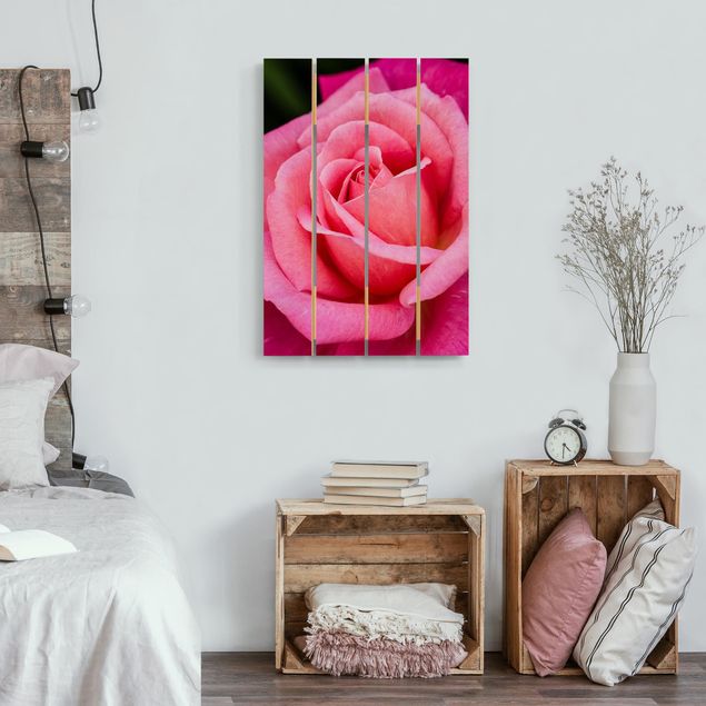 Holzbild - Pinke Rosenblüte vor Grün - Hochformat 3:2
