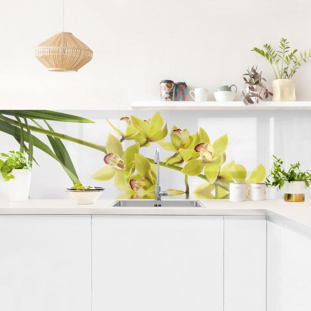 Küchenrückwand - Elegant Orchid Waters