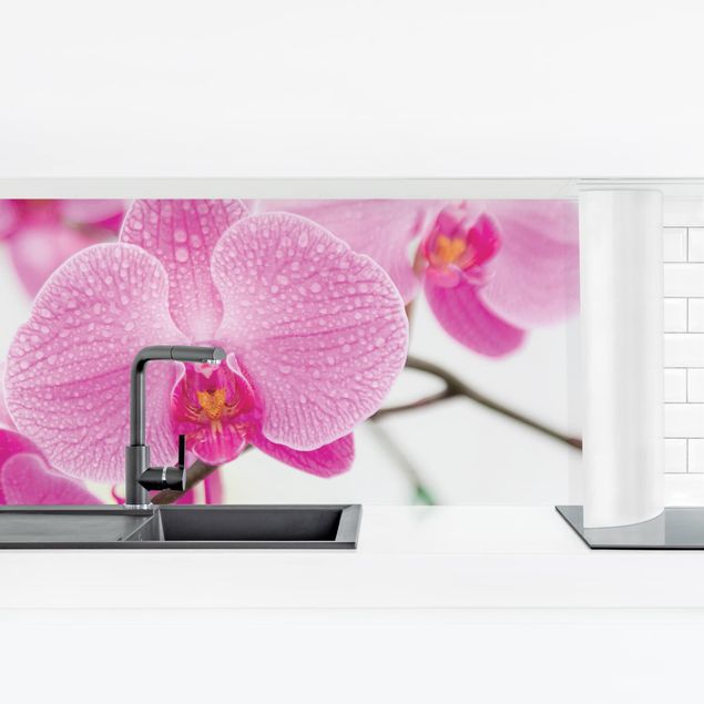 Küchenrückwand - Nahaufnahme Orchidee