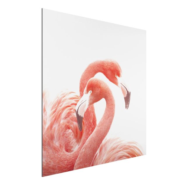 Alu-Dibond - Zwei Flamingos - Quadrat