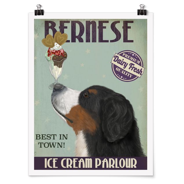 Poster - Berner Sennenhund mit Eis - Hochformat 3:4