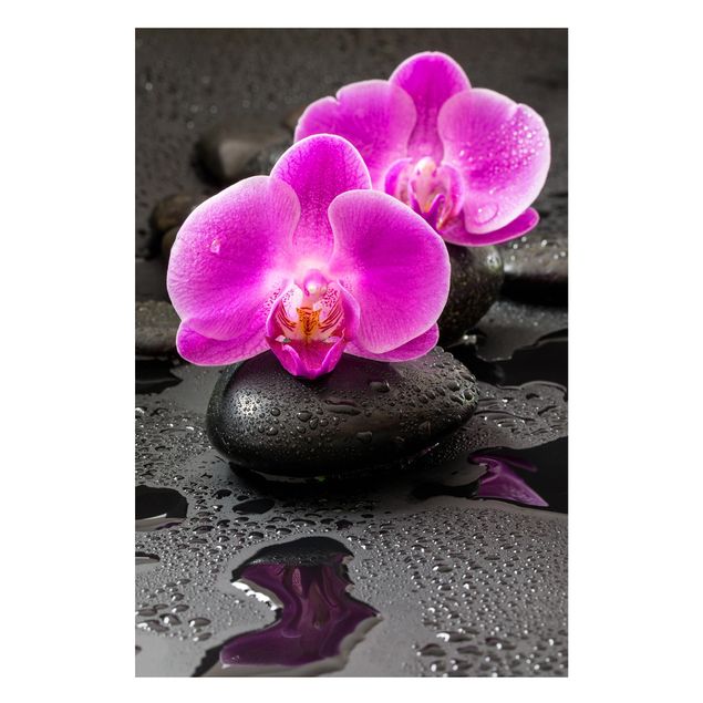 Magnettafel - Pinke Orchideenblüten auf Steinen mit Tropfen - Memoboard Hochformat 3:2