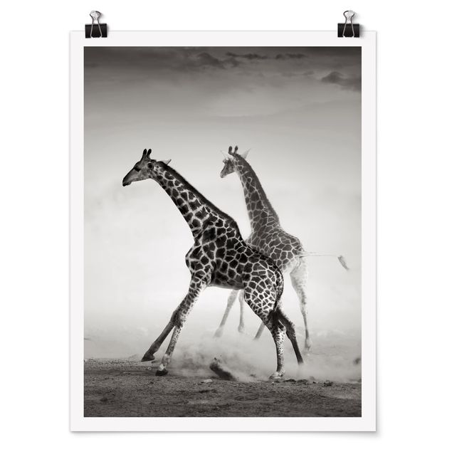 Poster - Giraffenjagd - Hochformat 3:4