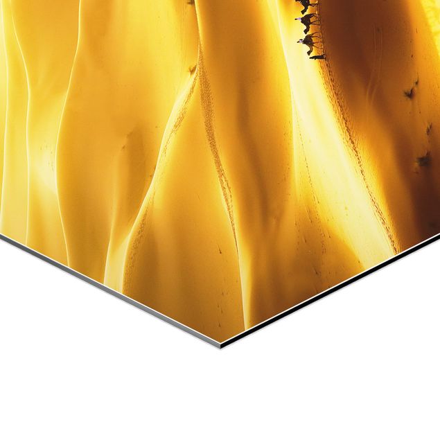 Hexagon Bild Alu-Dibond - Golden Dunes