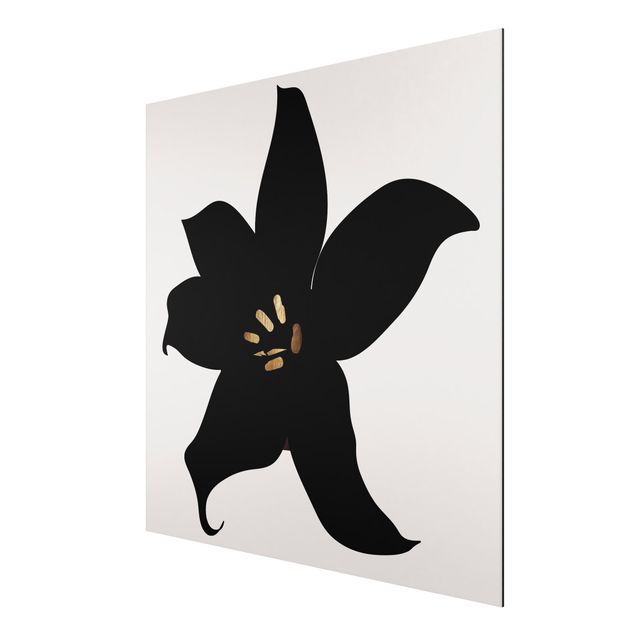 Aluminium Print - Grafische Pflanzenwelt - Orchidee Schwarz und Gold - Quadrat 1:1