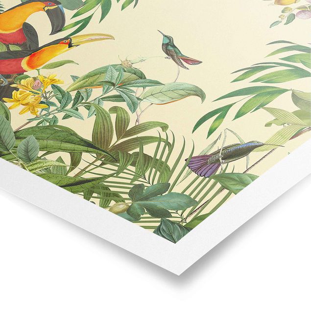 Poster - Vintage Collage - Vögel im Dschungel - Quadrat 1:1