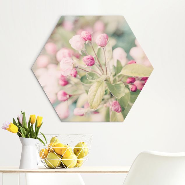 Hexagon Bild Alu-Dibond - Apfelblüte Bokeh rosa