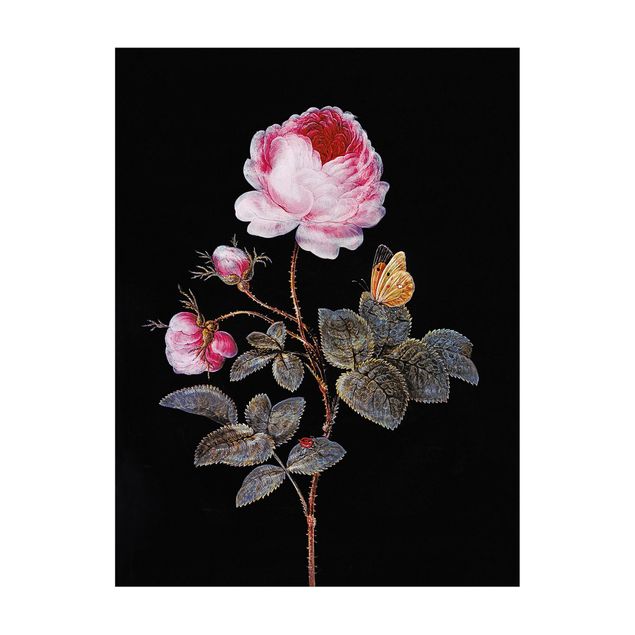 Teppich klein Barbara Regina Dietzsch - Die hundertblättrige Rose