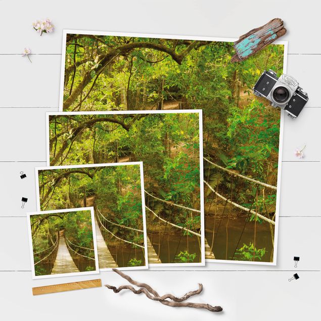Poster - Dschungelbrücke - Quadrat 1:1