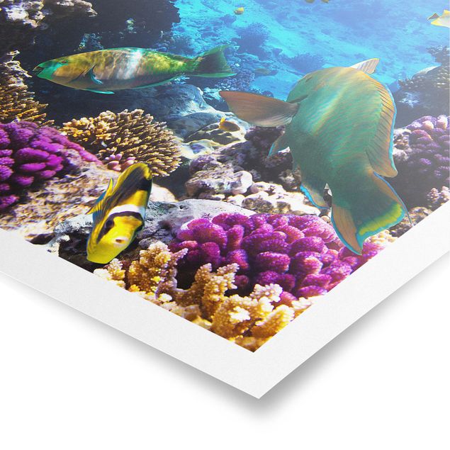 Poster - Underwater Dreams - Quadrat 1:1