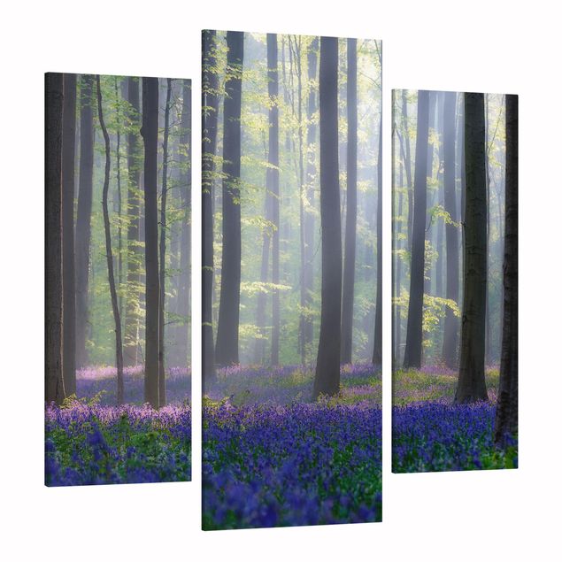 Leinwandbild 3-teilig - Frühlingstag im Wald - Galerie Triptychon
