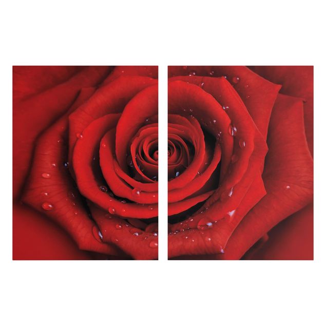 Leinwandbild 2-teilig - Rote Rose mit Wassertropfen - Hoch 3:4