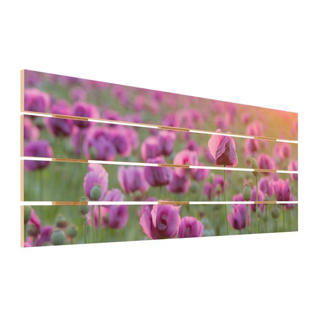 Holzbild - Violette Schlafmohn Blumenwiese im Frühling - Querformat 2:5