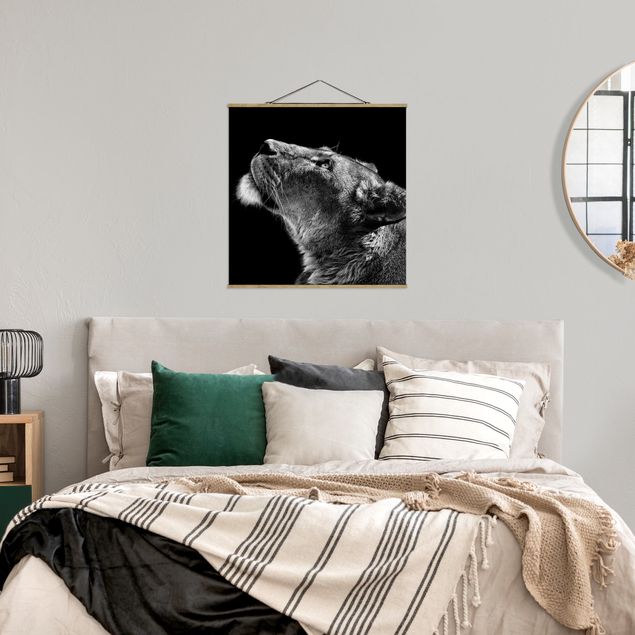 Stoffbild mit Posterleisten - Portrait einer Löwin - Quadrat 1:1