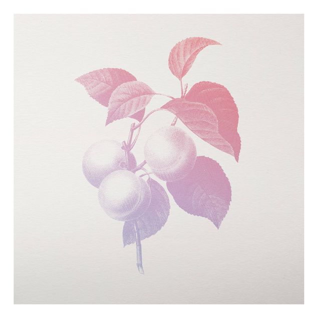 Aluminium Print gebürstet - Modern Vintage Botanik Pfirsich Rosa Violett - Quadrat 1:1
