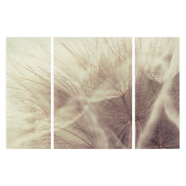 Leinwandbild 3-teilig - Detailreiche Pusteblumen Makroaufnahme mit Vintage Blur Effekt - Triptychon