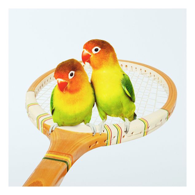Forex Fine Art Print - Jonas Loose - Tennis mit Vögeln - Quadrat 1:1