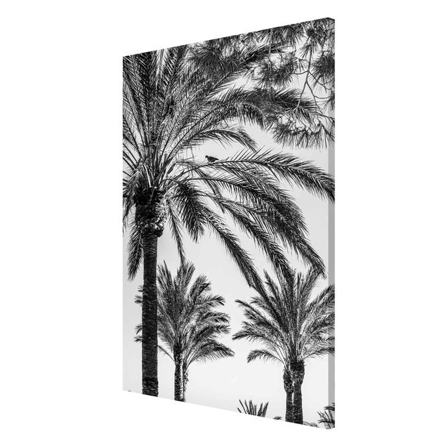 Magnettafel - Palmen im Sonnenuntergang Schwarz-Weiß - Memoboard Hochformat 3:2