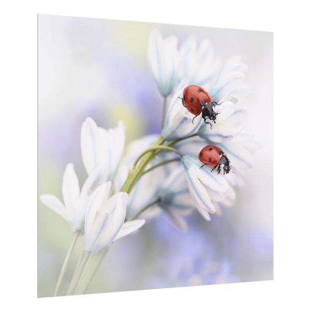 Glas Spritzschutz - Schmetterling und Marienkäfer auf Blüten - Quadrat - 1:1