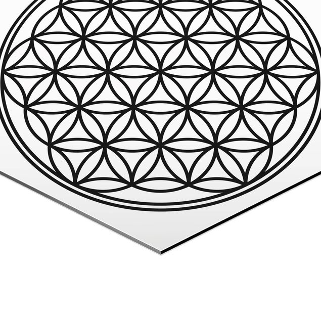 Hexagon Bild Alu-Dibond - Blume des Lebens