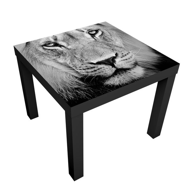Möbelfolie für IKEA Lack - Klebefolie Alter Löwe