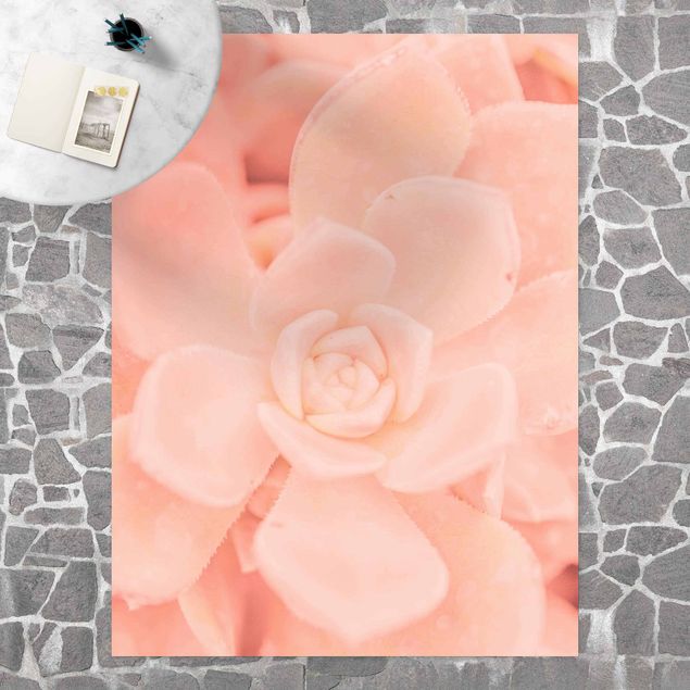 Teppich modern Rosa Blütenzauber Echeveria