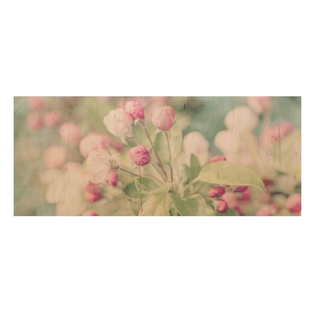 Holzbild - Apfelblüte Bokeh rosa - Panorama