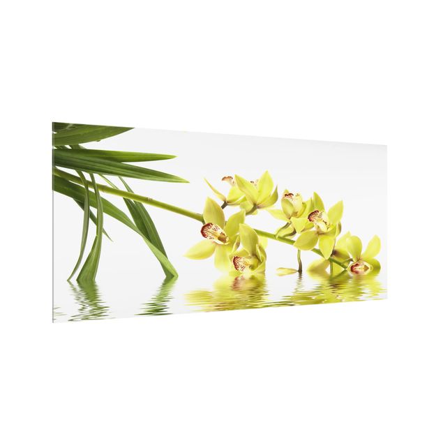 Spritzschutz Glas - Elegant Orchid Waters - Querformat - 2:1