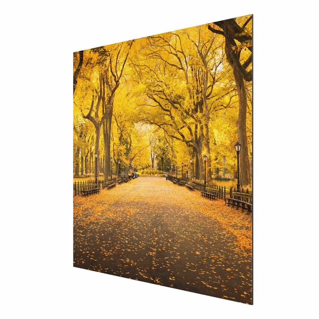 Alu-Dibond - Herbst im Central Park - Quadrat