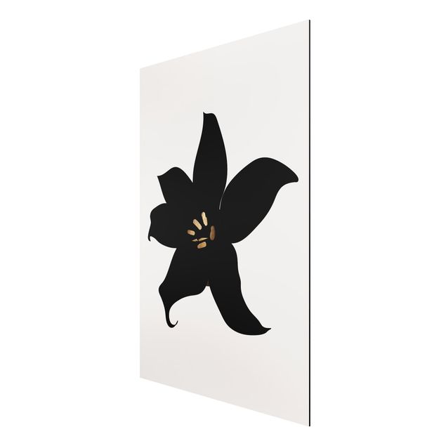 Aluminium Print - Grafische Pflanzenwelt - Orchidee Schwarz und Gold - Hochformat 3:2