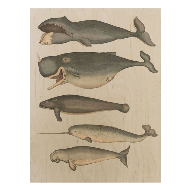 Holzbild - Fünf Vintage Wale - Hochformat 4:3