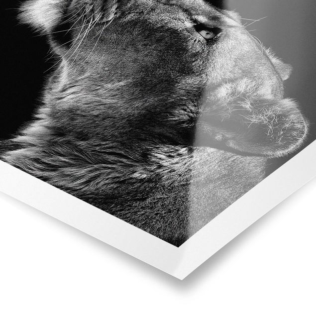 Poster - Portrait einer Löwin - Querformat 3:4