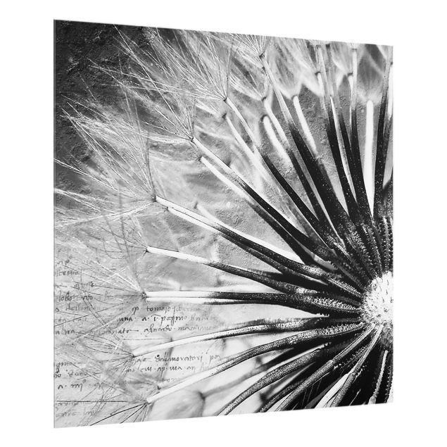 Glas Spritzschutz - Pusteblume Schwarz & Weiß - Quadrat - 1:1