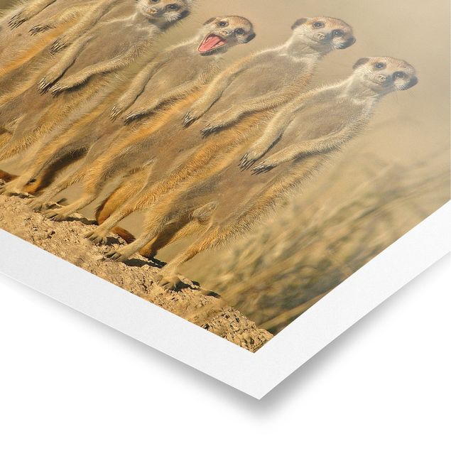 Poster - Meerkat Family - Querformat 3:4