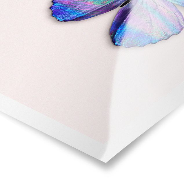 Poster - Jonas Loose - Holografischer Schmetterling - Hochformat 3:2